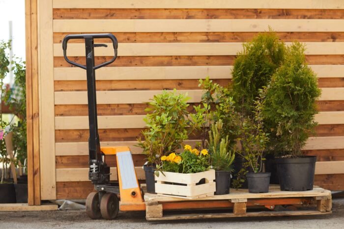 Pallet Jack (Manual/Electric) - Image 3